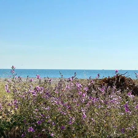 Se103 - Montemarciano, Trilocale Fronte Mare Con Aria Condizionata *